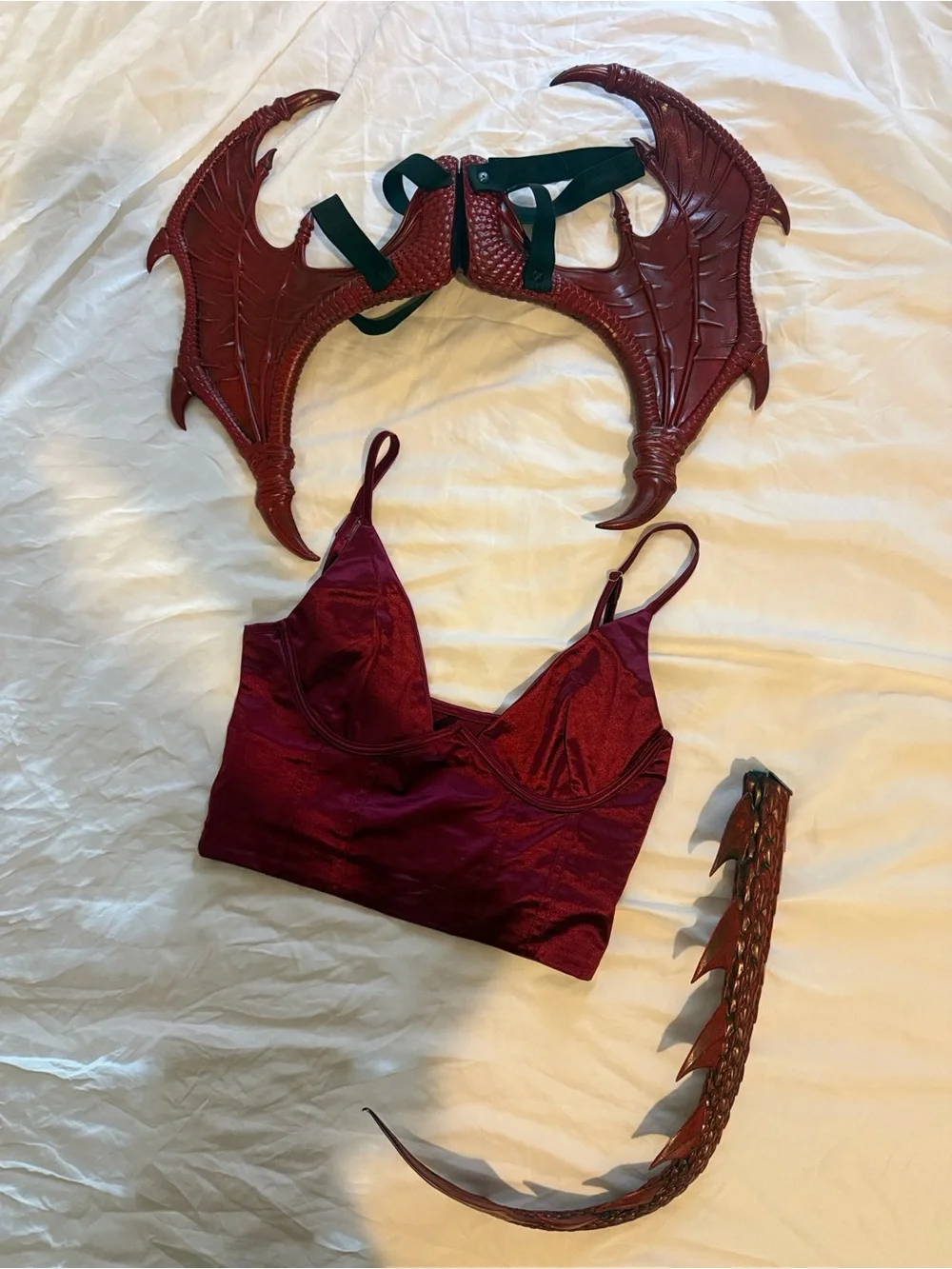 Halloween Dragon and Donkey Costumes from Shrek!